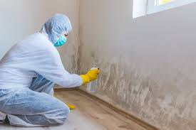 Best Mold Remediation for Healthcare Facilities  in Williston Highlands, FL